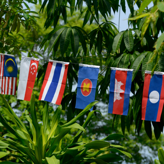 An image of ASEAN flags