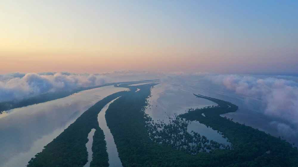 Picture of the Amazon River