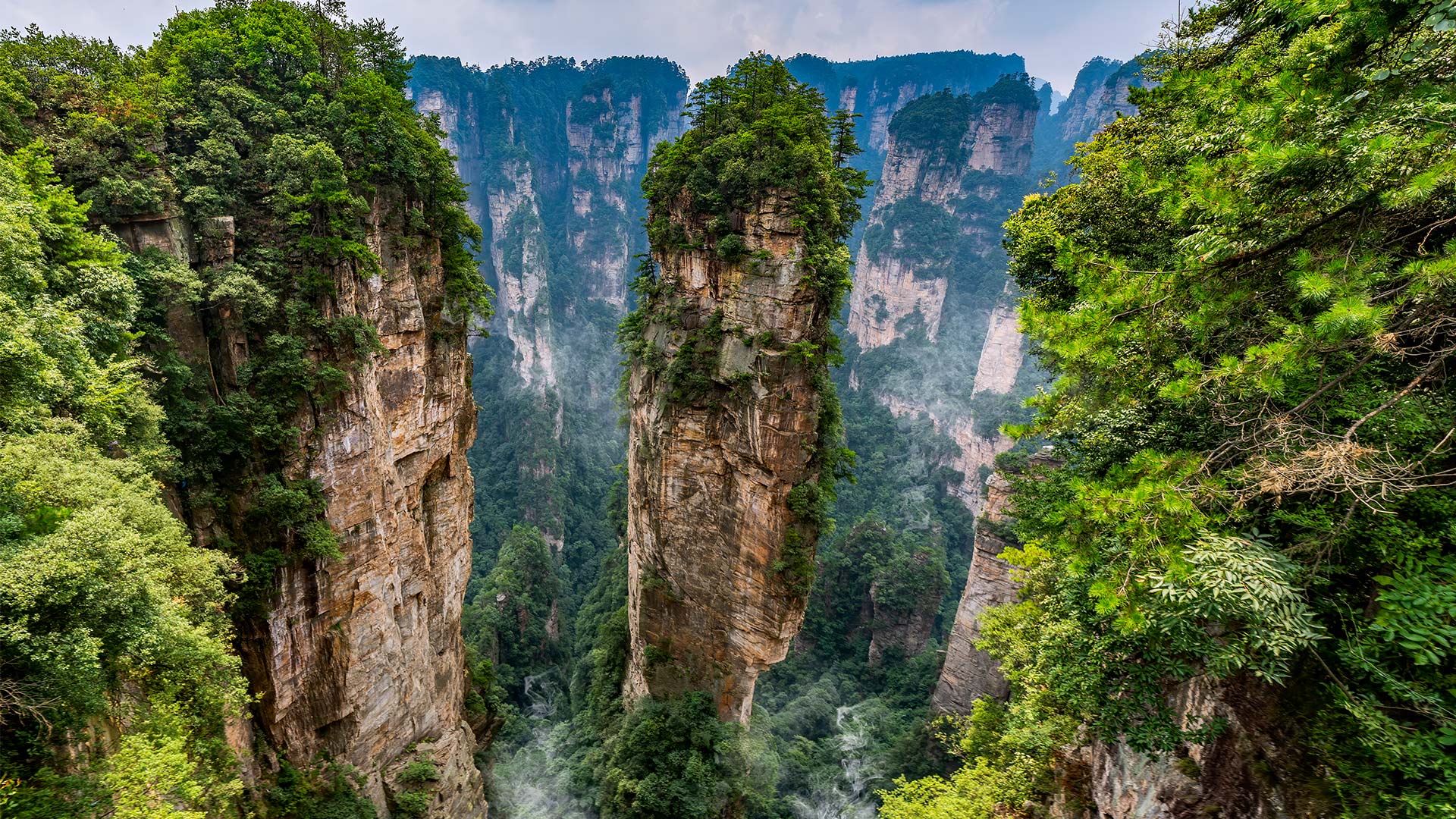 An image of Forest and mountains in China