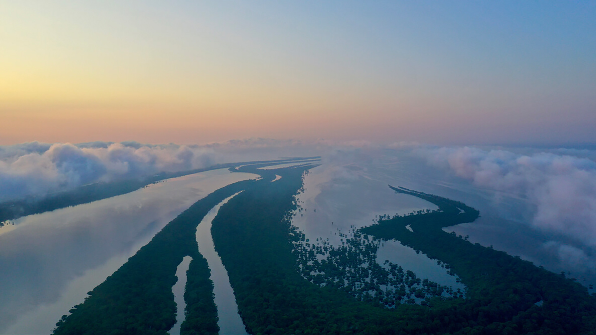 An image of the Amazon River from above